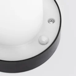 Leuchtenoberteil mit 12 LEDs, inkl. Akku