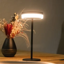 Solar Sensor Lese- und Tischleuchte Ella, dimmbar