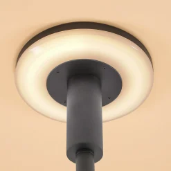 Solar Sensor Lese- und Tischleuchte Talino, dimmbar