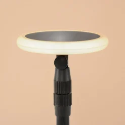 Solar Stableuchten im 2er-Set, flexibel einstellbar