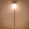 Solar Stableuchte Tropiclight 59 cm DuoColor Edelstahl