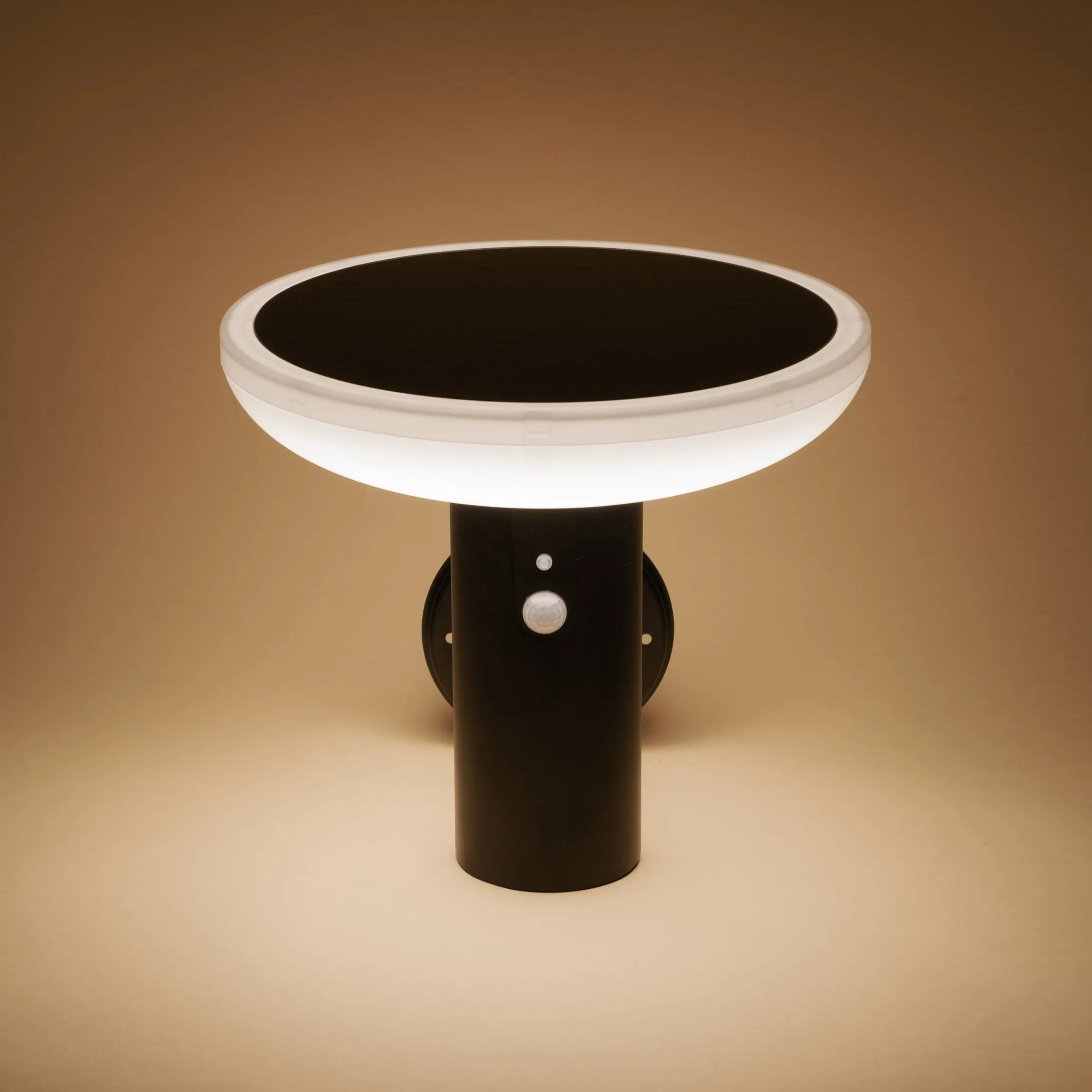 Solar Wandleuchte Linus mit Bewegungssensor
