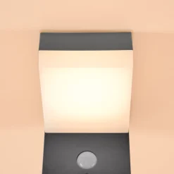 Solar Wandleuchte Nala mit Bewegungssensor