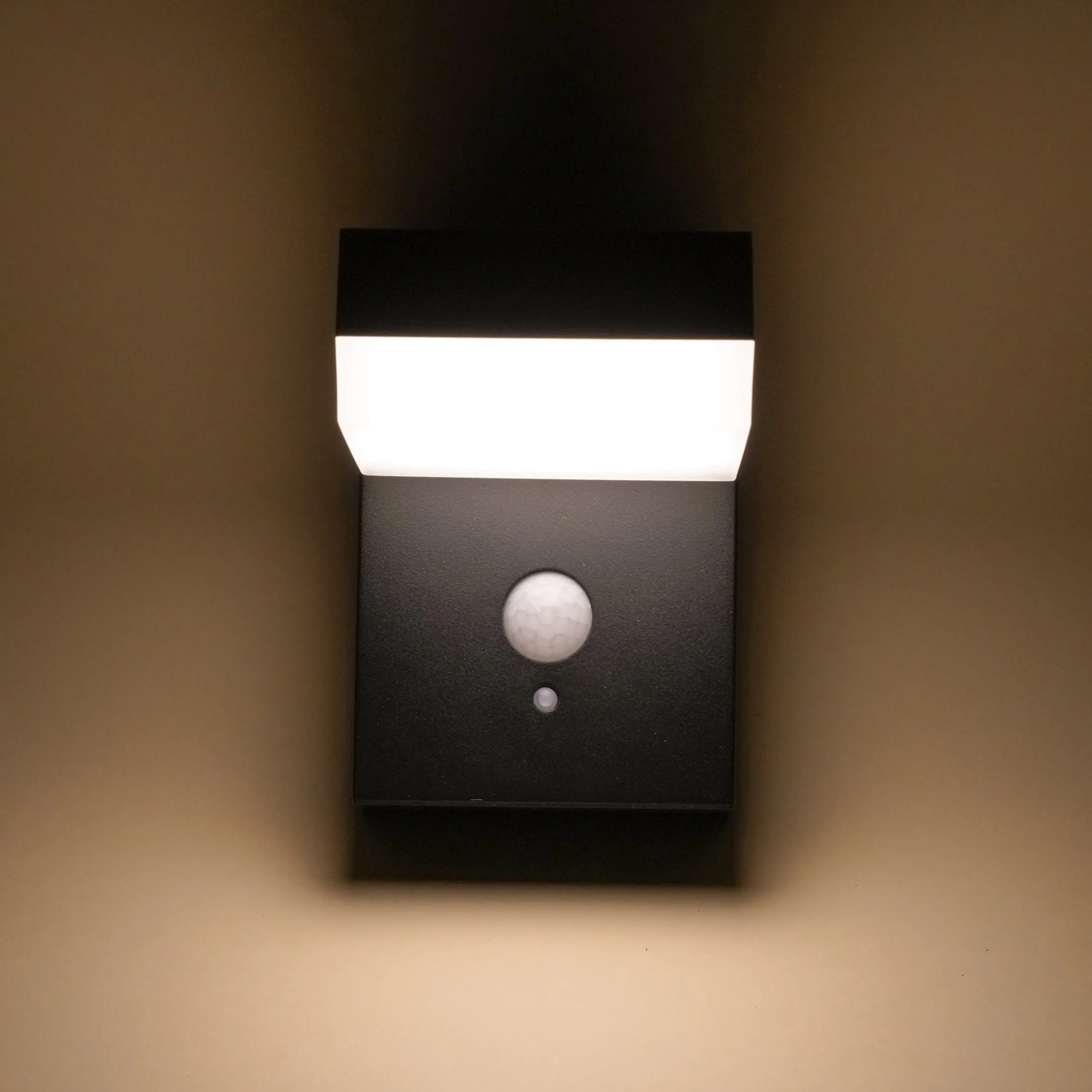 Solar Wandleuchte Nala mit Bewegungssensor