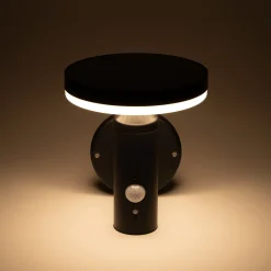Solar Wandleuchte Ribolla mit Bewegungssensor