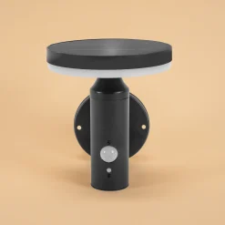 Solar Wandleuchte Ribolla mit Bewegungssensor
