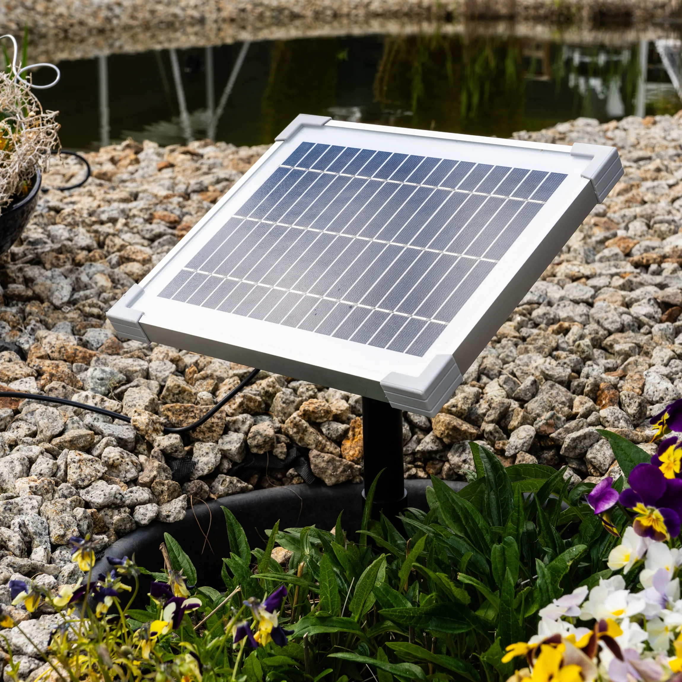 Solar Wasserspeier-Set liegender Frosch Pepe