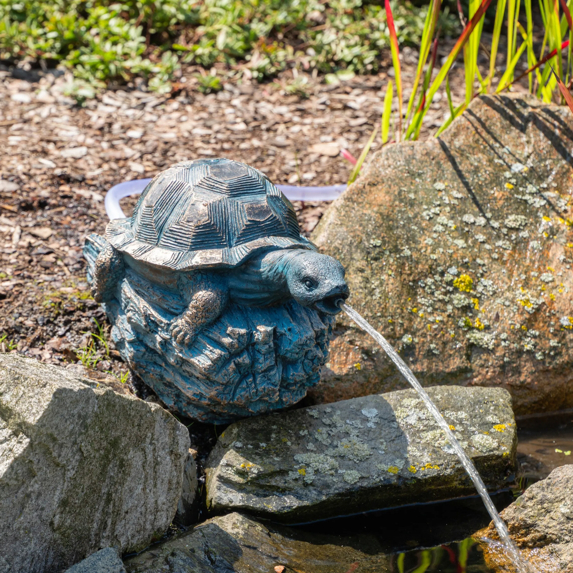 Solar Wasserspeier-Set Schildkröte Marlies