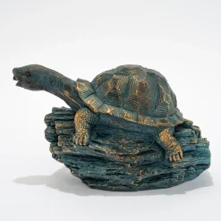 Solar Wasserspeier-Set Schildkröte Marlies