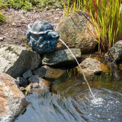 Solar Wasserspeier-Set Schildkröte Marlies