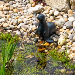Solar Wasserspeierset Seehund Sammy