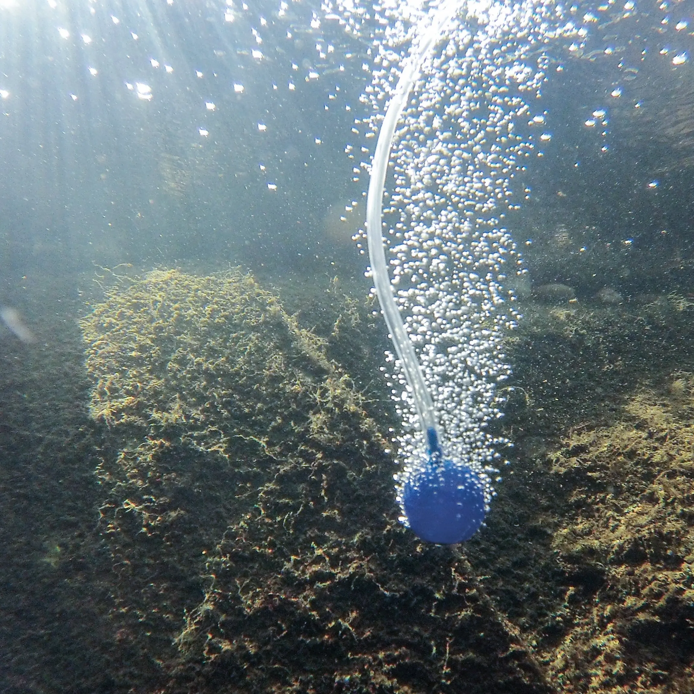 Teichbelüfterpumpe 130 l/h